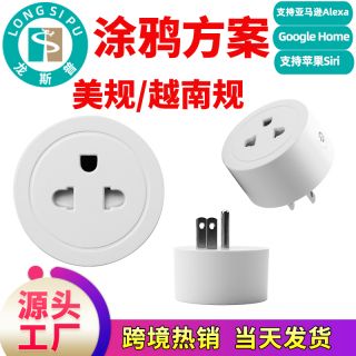 龍斯普 小越南規 美規規可用 易微聯涂鴉跨境貨源 WiFi智能插座